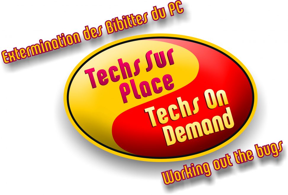 Bilingual Logo design for computer tech service company